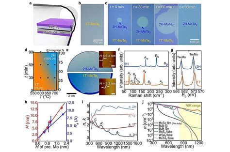 metallic transistor fabrication|2d transistor array fabrication.